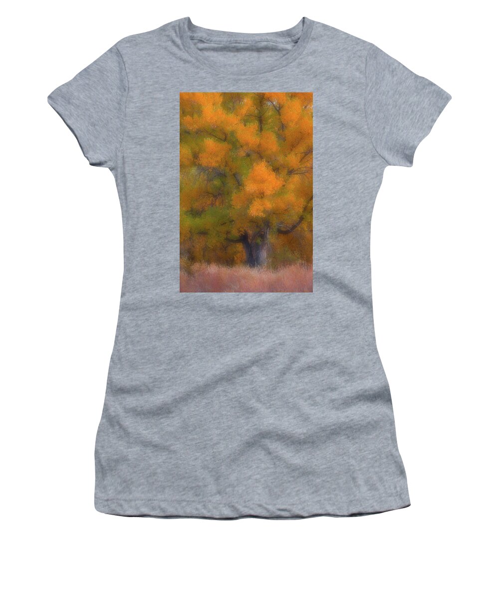 Trees Women's T-Shirt featuring the photograph Painted Tree by Darren White
