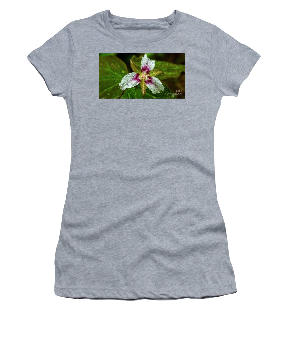 Painted Trillium Women's T-Shirt featuring the photograph Painted Trillium with Raindrops by Thomas R Fletcher