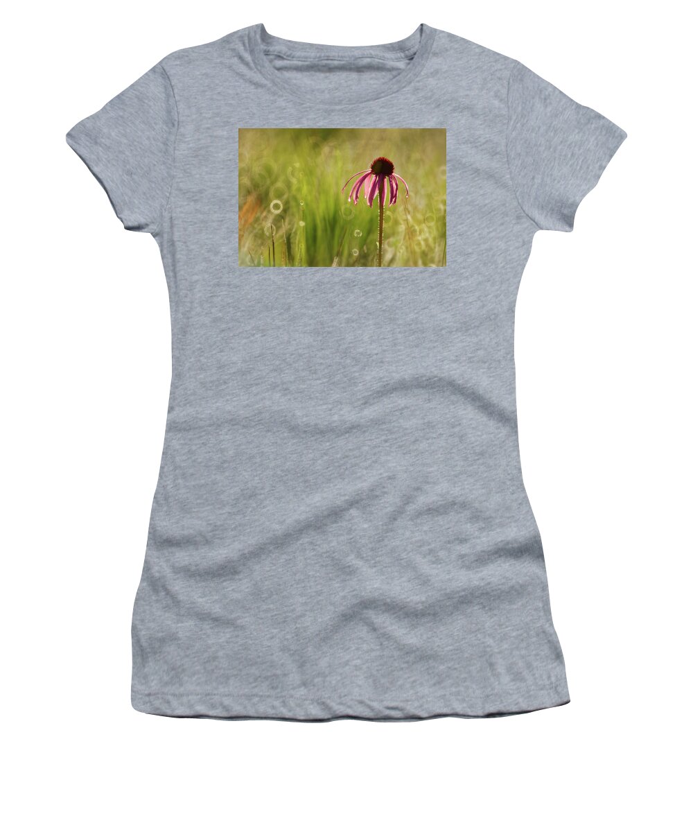Flower Women's T-Shirt featuring the photograph Pale Purple ConeFlower by Robert Charity