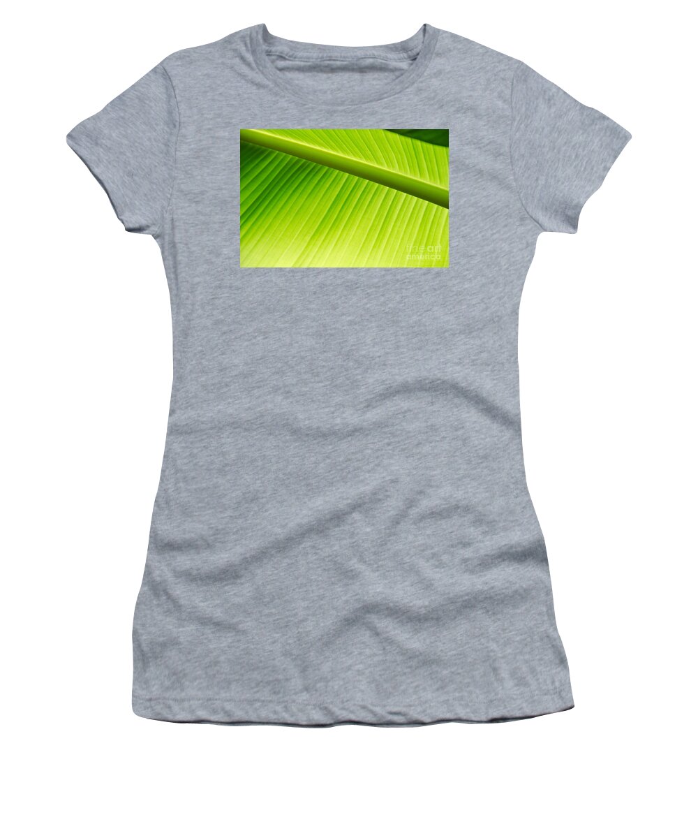 Palm Women's T-Shirt featuring the painting Palm Leaf background by Yurix Sardinelly