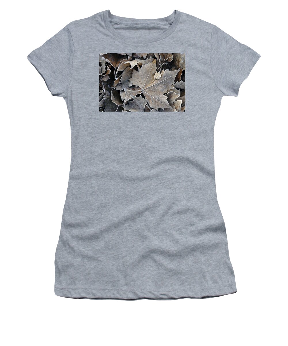 Maple Women's T-Shirt featuring the photograph Parental by DArcy Evans