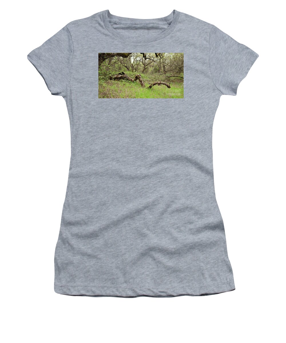 Anderson River Park Women's T-Shirt featuring the photograph Park Serpent by Carol Lynn Coronios