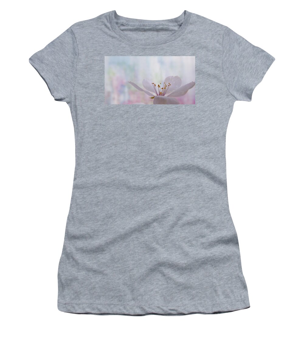 Cherry Women's T-Shirt featuring the photograph Pastel Bloom by Barbara St Jean