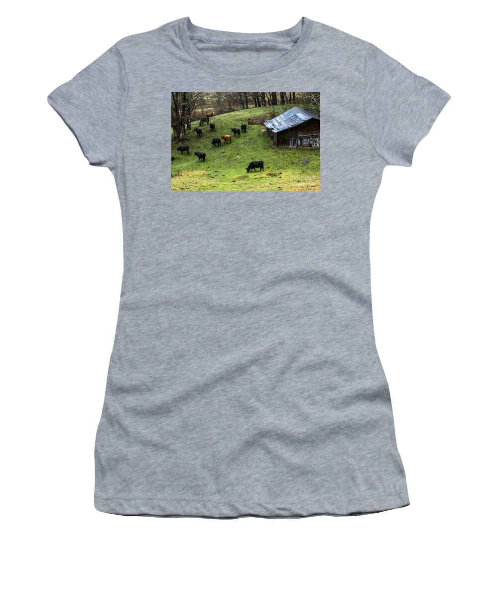 Pasture Field Women's T-Shirt featuring the photograph Pasture Field and Cattle by Thomas R Fletcher
