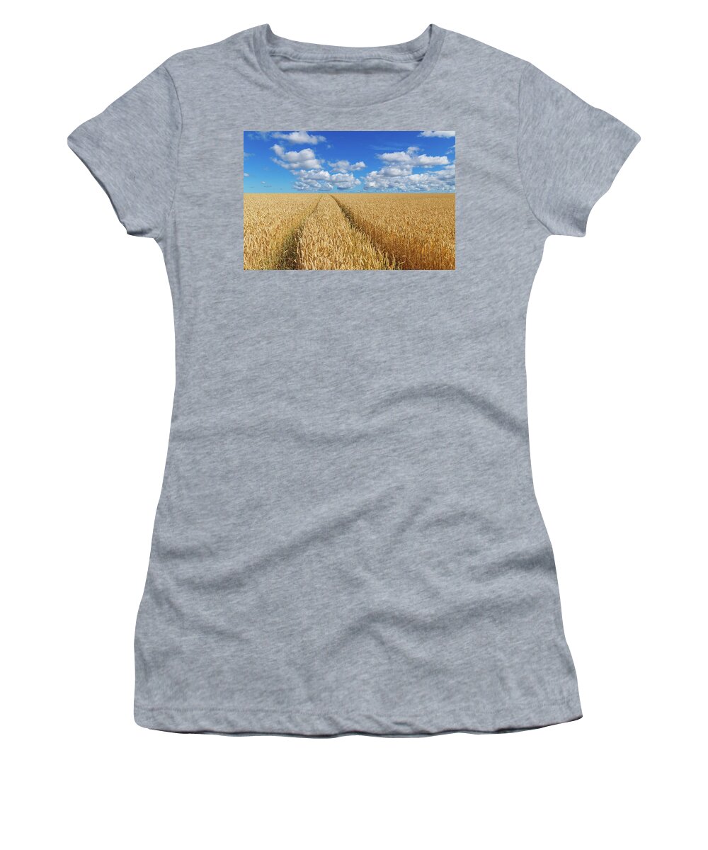 Agricultural Women's T-Shirt featuring the photograph Path in a golden wheat field by GoodMood Art