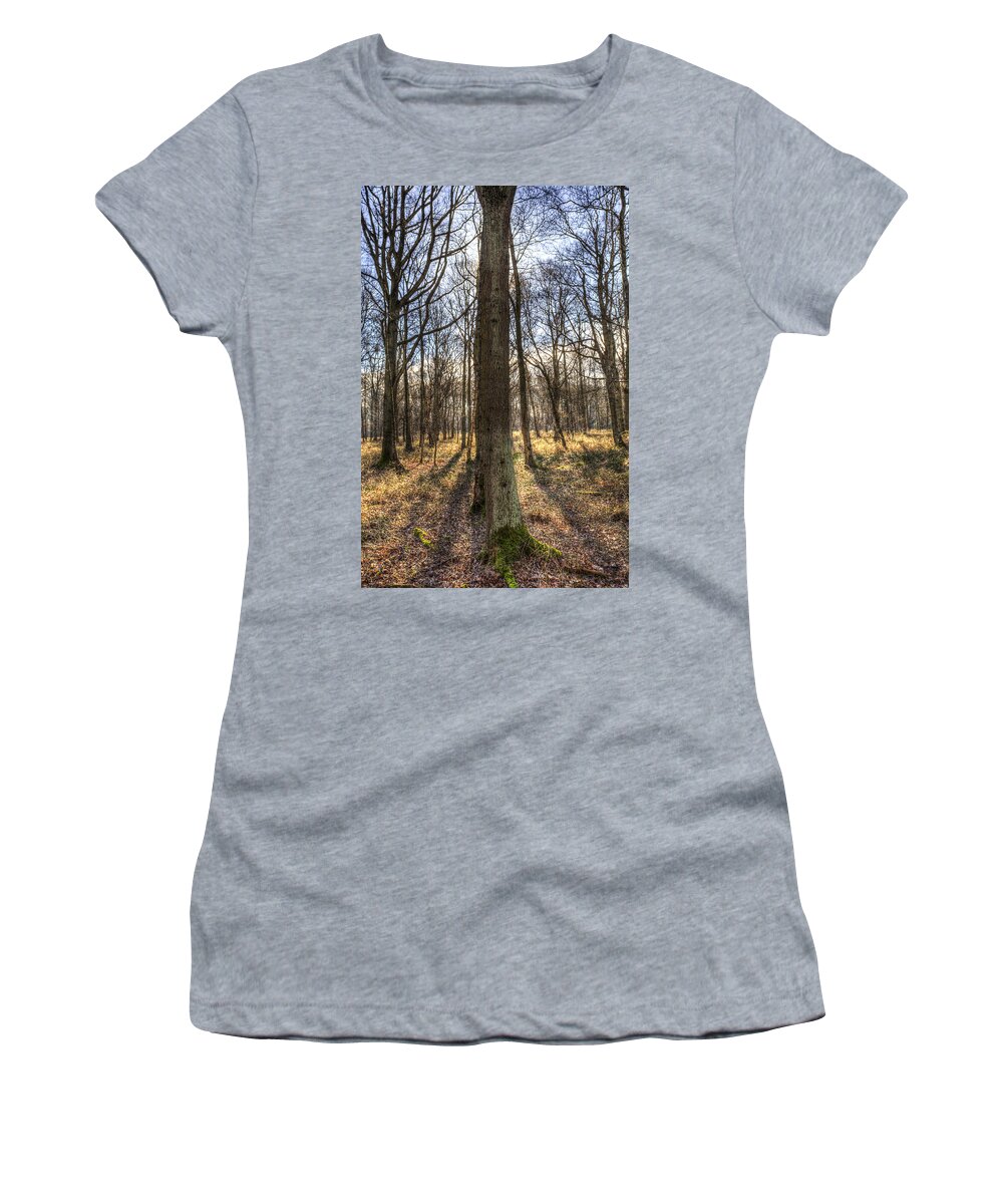 Forest Women's T-Shirt featuring the photograph Peace In the Morning Forest by David Pyatt