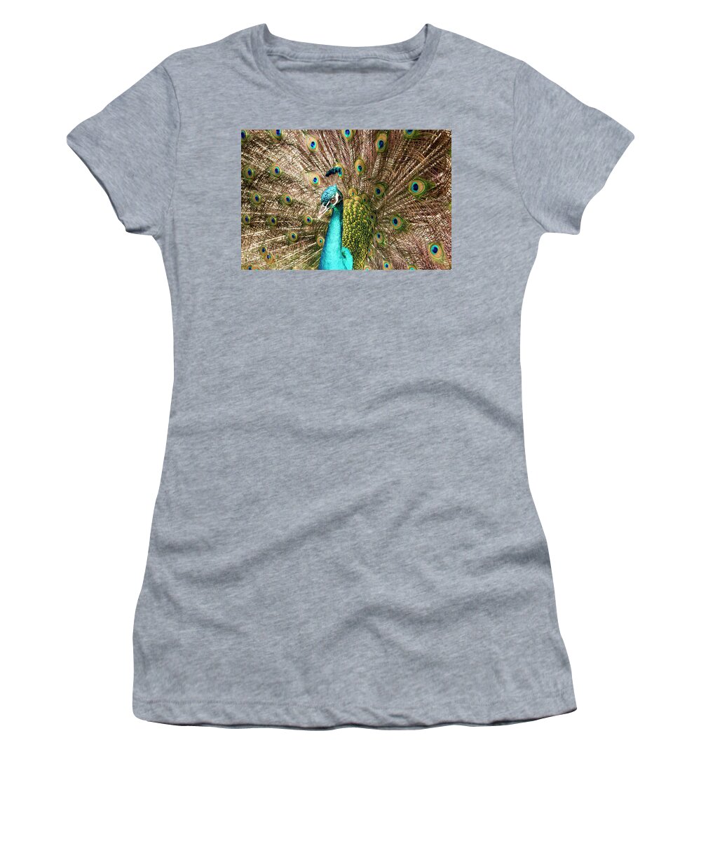 Louisianna Women's T-Shirt featuring the photograph Peacock Portrait by Jean Noren