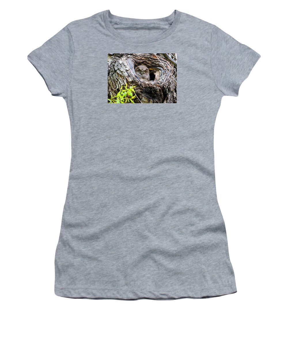 Eastern Screech Owl Women's T-Shirt featuring the photograph Peek A Boo by Mindy Musick King