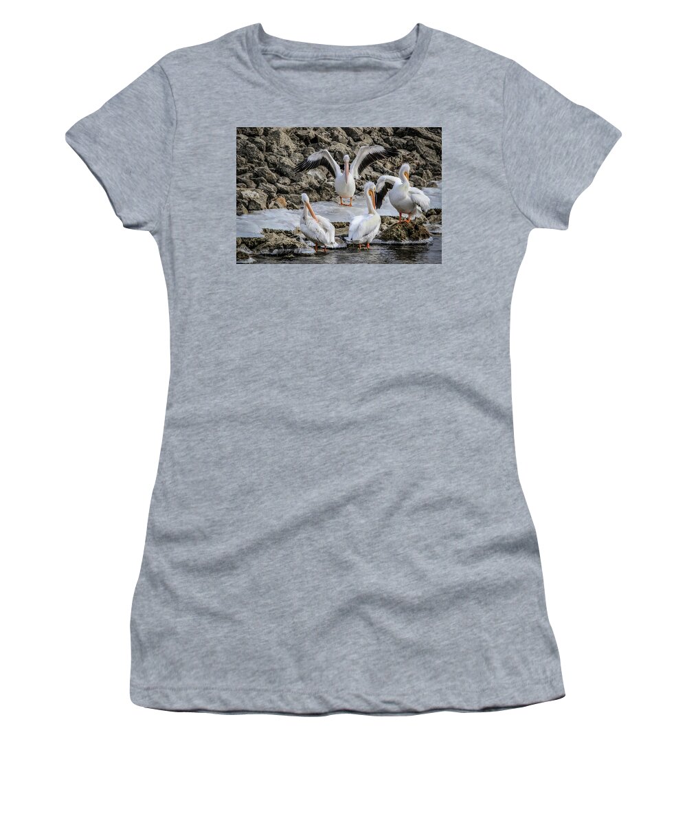Pelicans Women's T-Shirt featuring the photograph Pelican Conducting by Ray Congrove