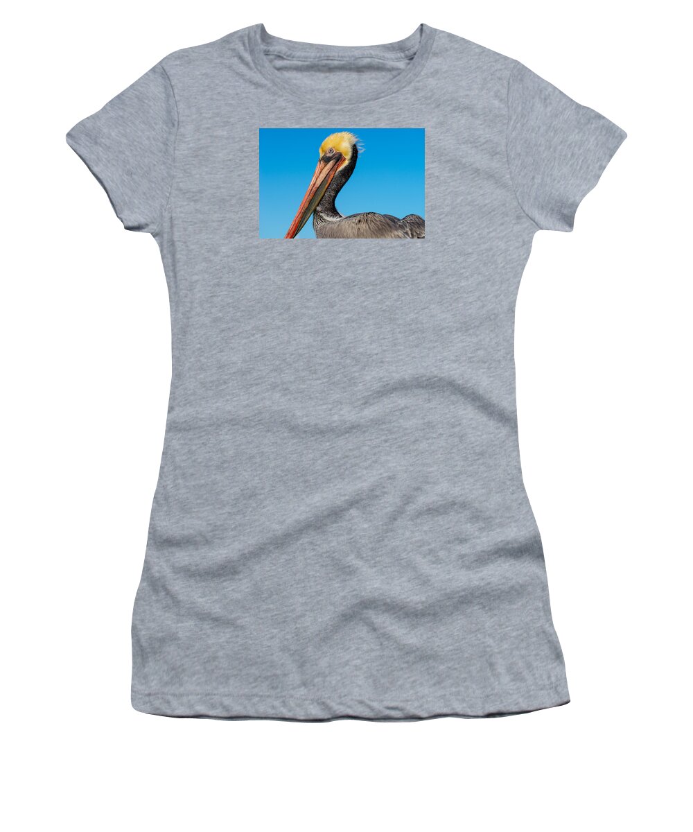 Pelican Women's T-Shirt featuring the photograph Pelican Portrait by Derek Dean