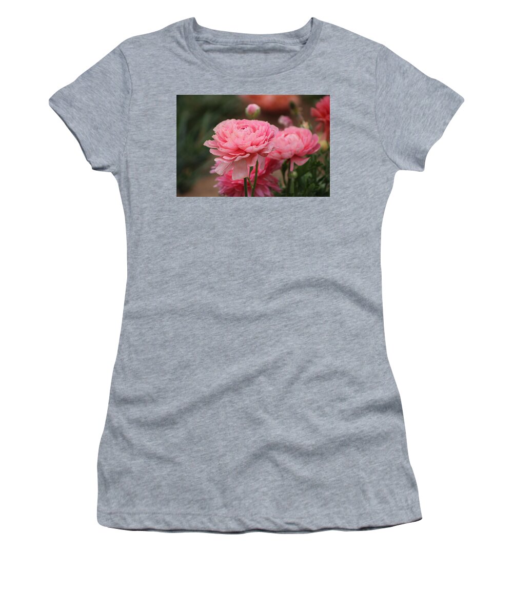 Pink Ranunculus Women's T-Shirt featuring the photograph Peony Pink Ranunculus Closeup by Colleen Cornelius
