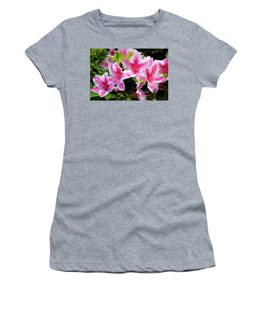 Photography Women's T-Shirt featuring the photograph Peppermint Candy by Steven Clark