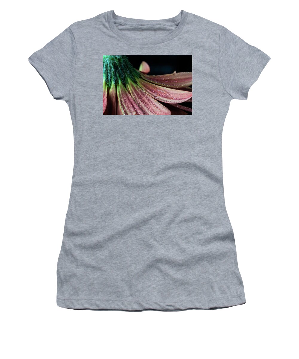 Daisy Women's T-Shirt featuring the photograph Petal Perfect by Tammy Ray