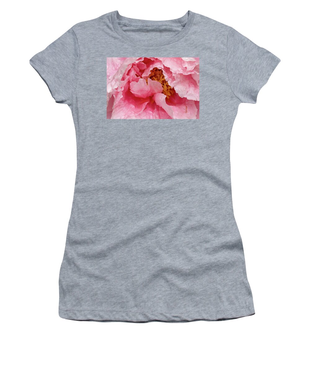 Paeonia Lactiflora Women's T-Shirt featuring the photograph Petals on Chinese peony abstract background by Karen Foley