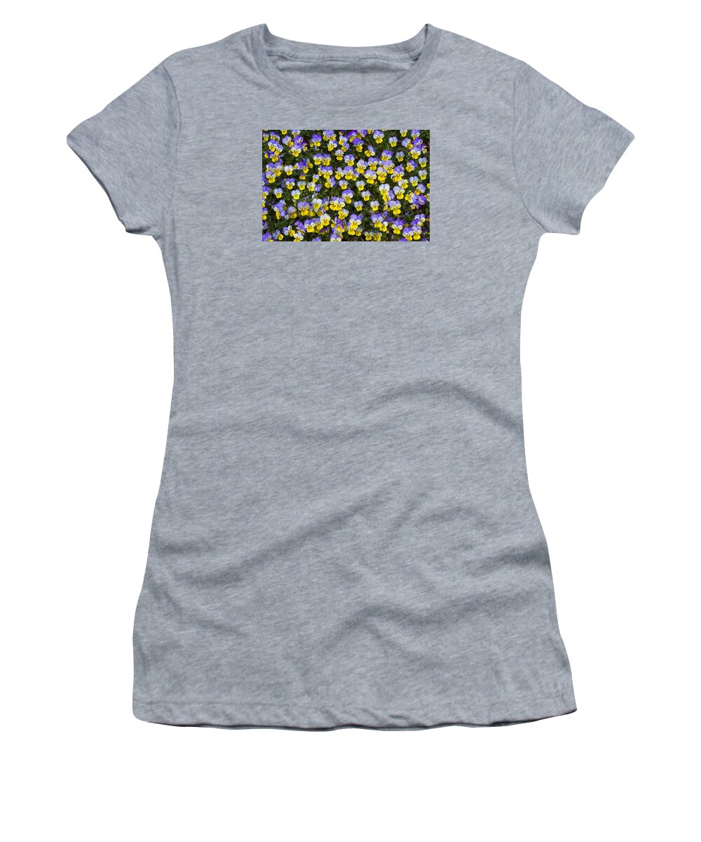 Pansy Women's T-Shirt featuring the photograph Pick Me-Pansies by Ken Barrett