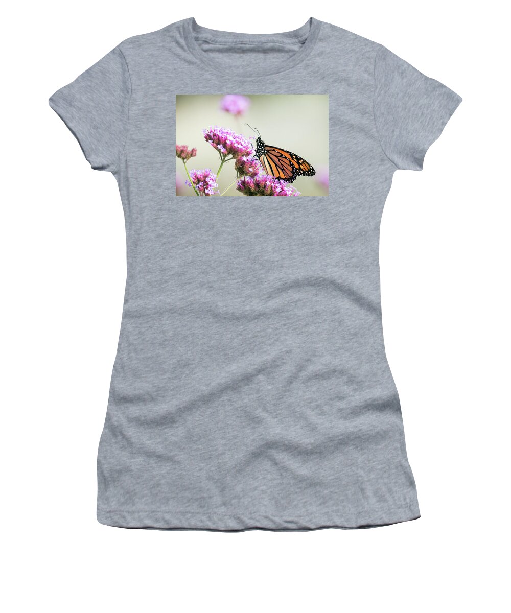 Monarch Butterfly Butterflies Nature Outside Outdoors Insect Nature Natural Wild Life Wildlife Macro Closeup Close-up Ma Mass Massachusetts Wings Flower Botany Botanic Botanical Garden Gardening Brian Hale Brianhalephoto Newengland New England U.s.a. Usa Pollen Nectar Proboscis Pick Picking Picked Women's T-Shirt featuring the photograph Picking Flowers 2 by Brian Hale
