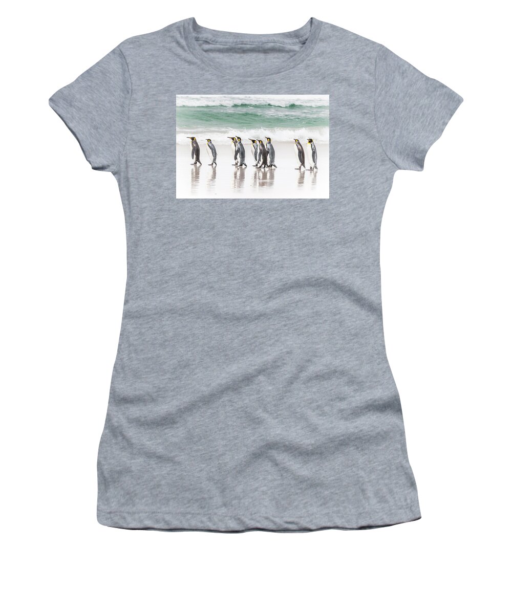 Birds Women's T-Shirt featuring the photograph Pied piper. by Usha Peddamatham