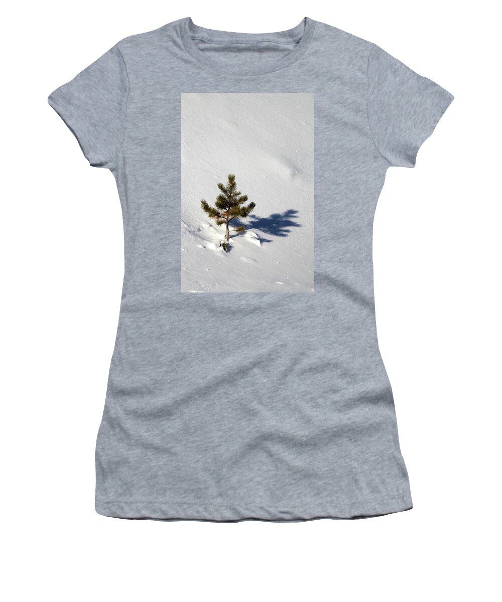 Pine Women's T-Shirt featuring the photograph Pine Shadow by Shane Bechler