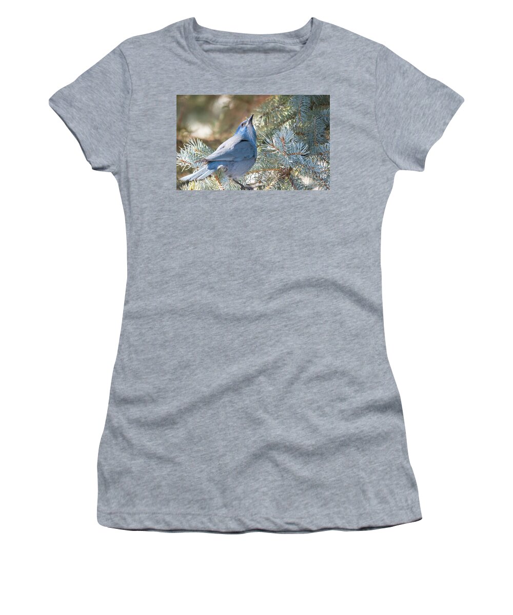 Pinion Jay Women's T-Shirt featuring the photograph Pinion Jay by Gary Beeler