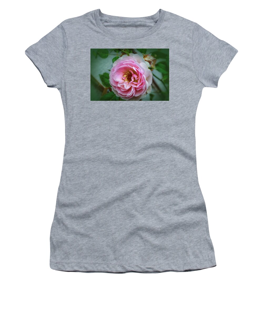 Color Women's T-Shirt featuring the photograph Pink #a4 by Leif Sohlman