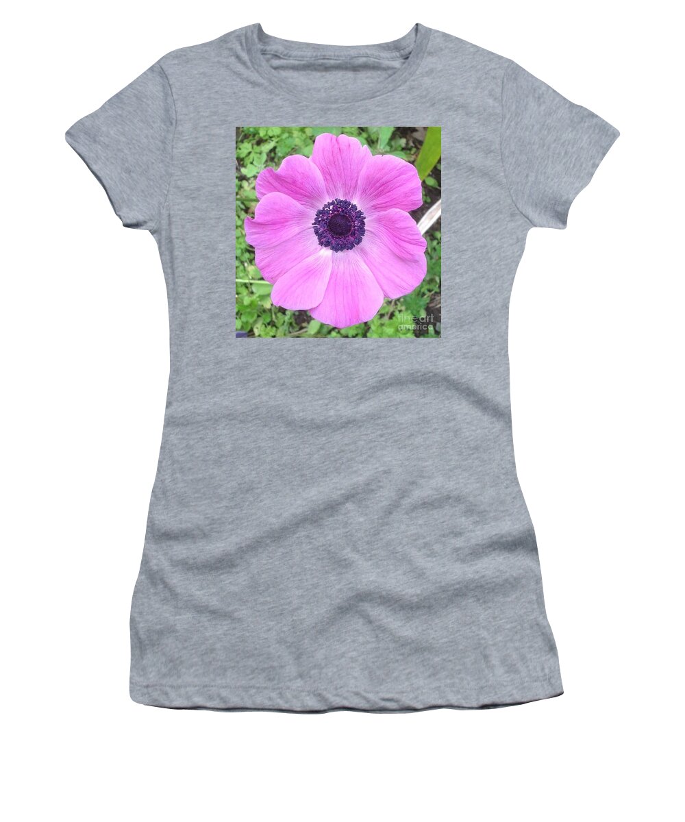 Anemones Women's T-Shirt featuring the photograph Anemone in Pink and Purple by By Divine Light