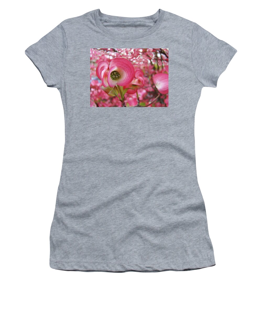 Dogwood Women's T-Shirt featuring the photograph Pink DOGWOOD TREE Flowers Dogwood Flowers Giclee Art Prints Baslee Troutman by Patti Baslee