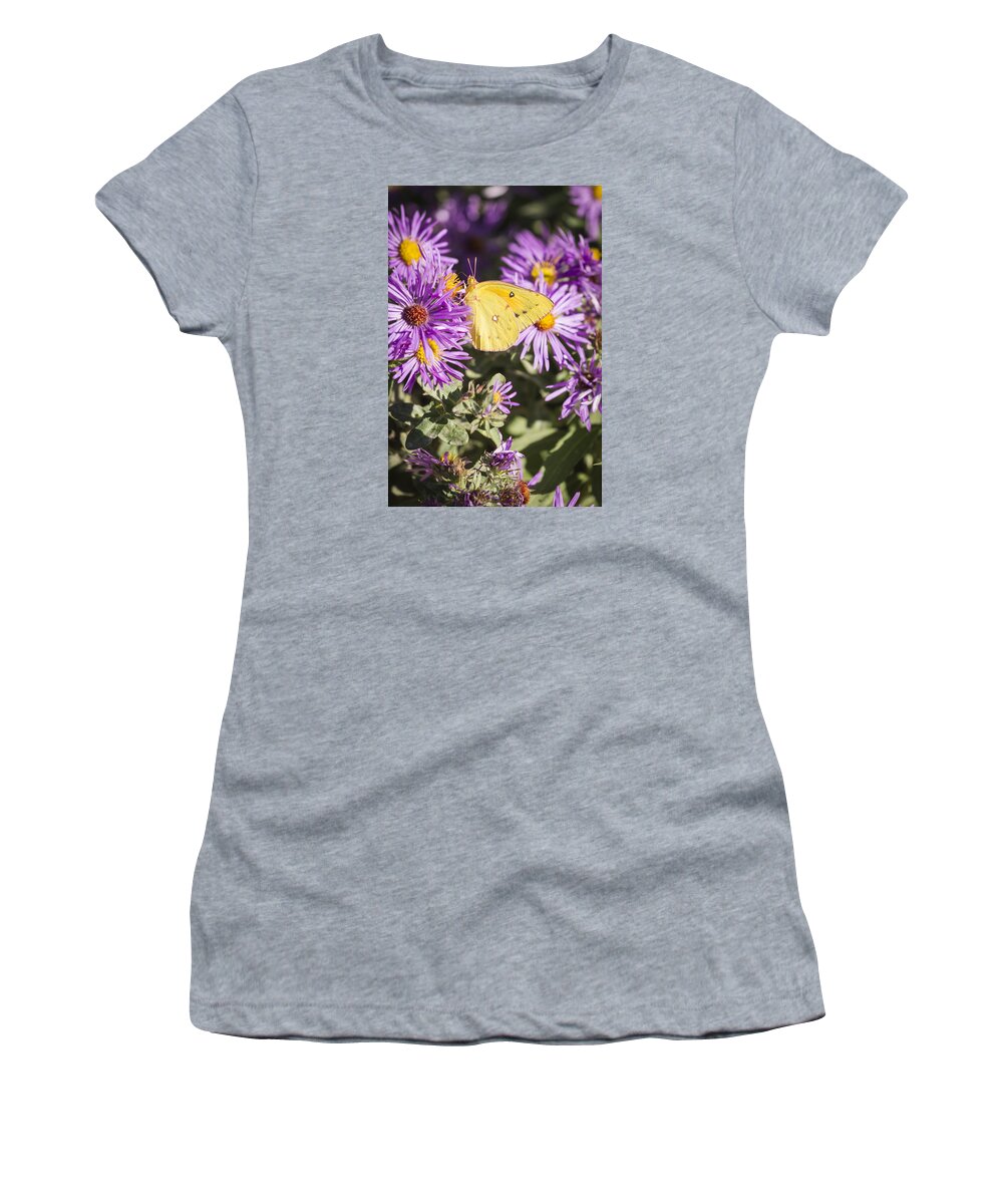 Pink-edged Sulphur Butterfly Women's T-Shirt featuring the photograph Pink-edged Sulphur 2013-2 by Thomas Young