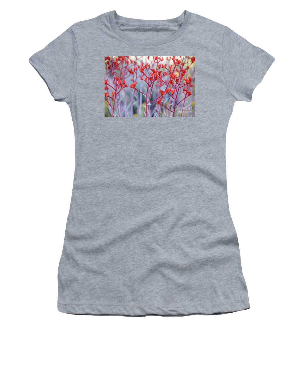Flower Women's T-Shirt featuring the photograph Red Kangaroo Paw by Werner Padarin