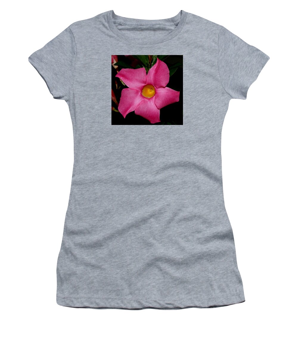 Nature Women's T-Shirt featuring the photograph Pink Mandevilla by Robert Morin