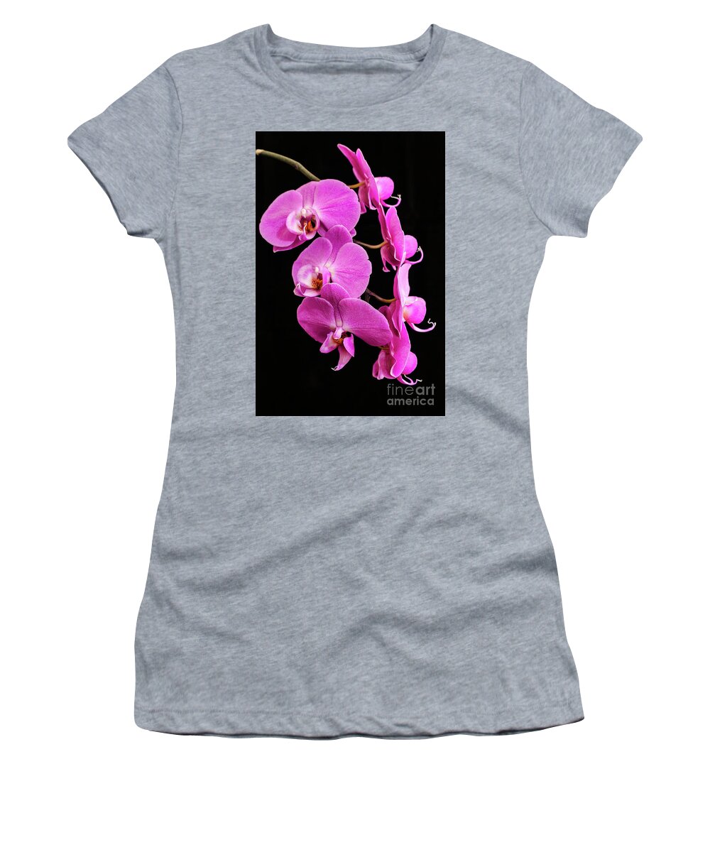 Pink Orchid Women's T-Shirt featuring the photograph Pink Orchid with Black background by Andy Myatt