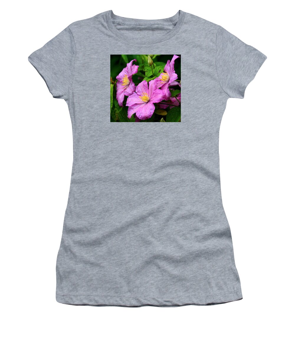 Purple Women's T-Shirt featuring the photograph Pink Petals by Scott Olsen