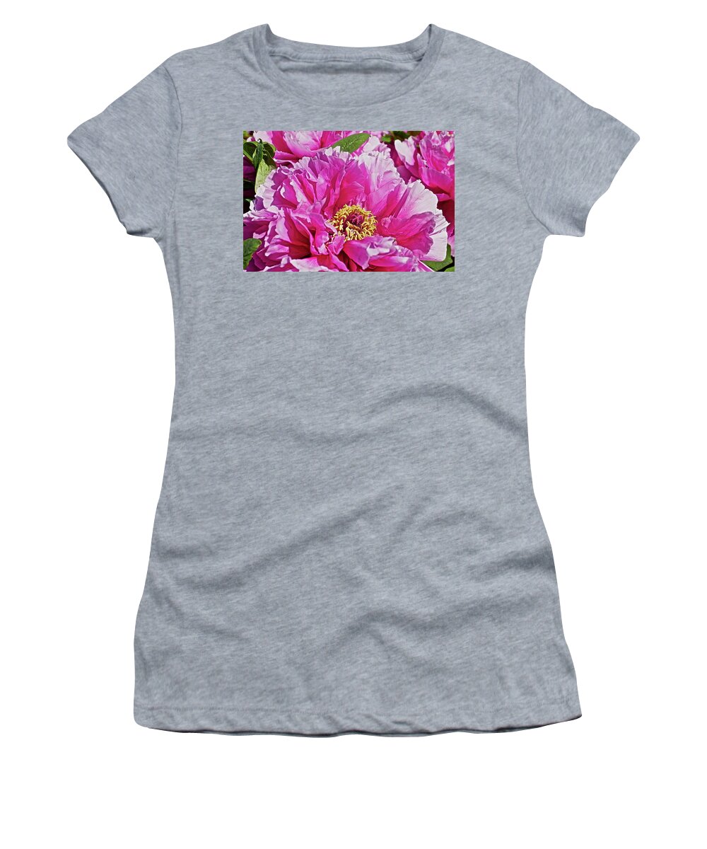Close Up Photograph Of Pink Peony Flower Women's T-Shirt featuring the photograph Pink Peony by Joan Reese