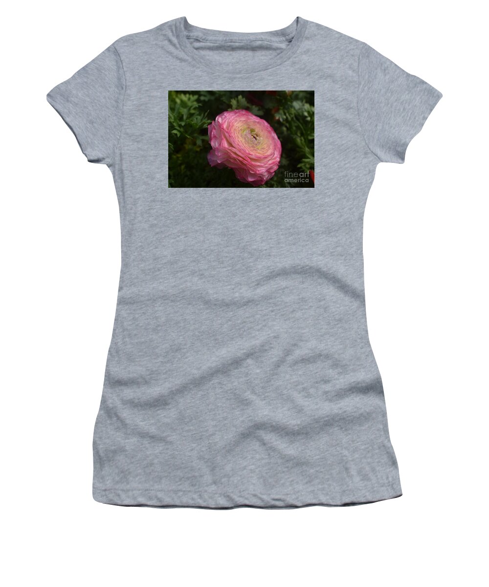 Pink Women's T-Shirt featuring the digital art Pink Ranunculus by Yenni Harrison