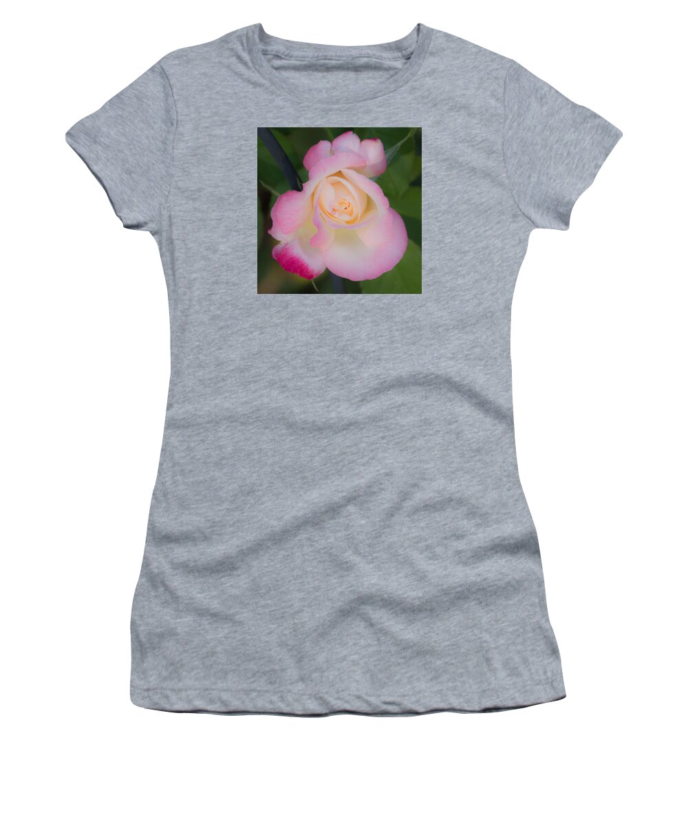 Rose Women's T-Shirt featuring the photograph Pink Tinged Rose by Cathy Donohoue