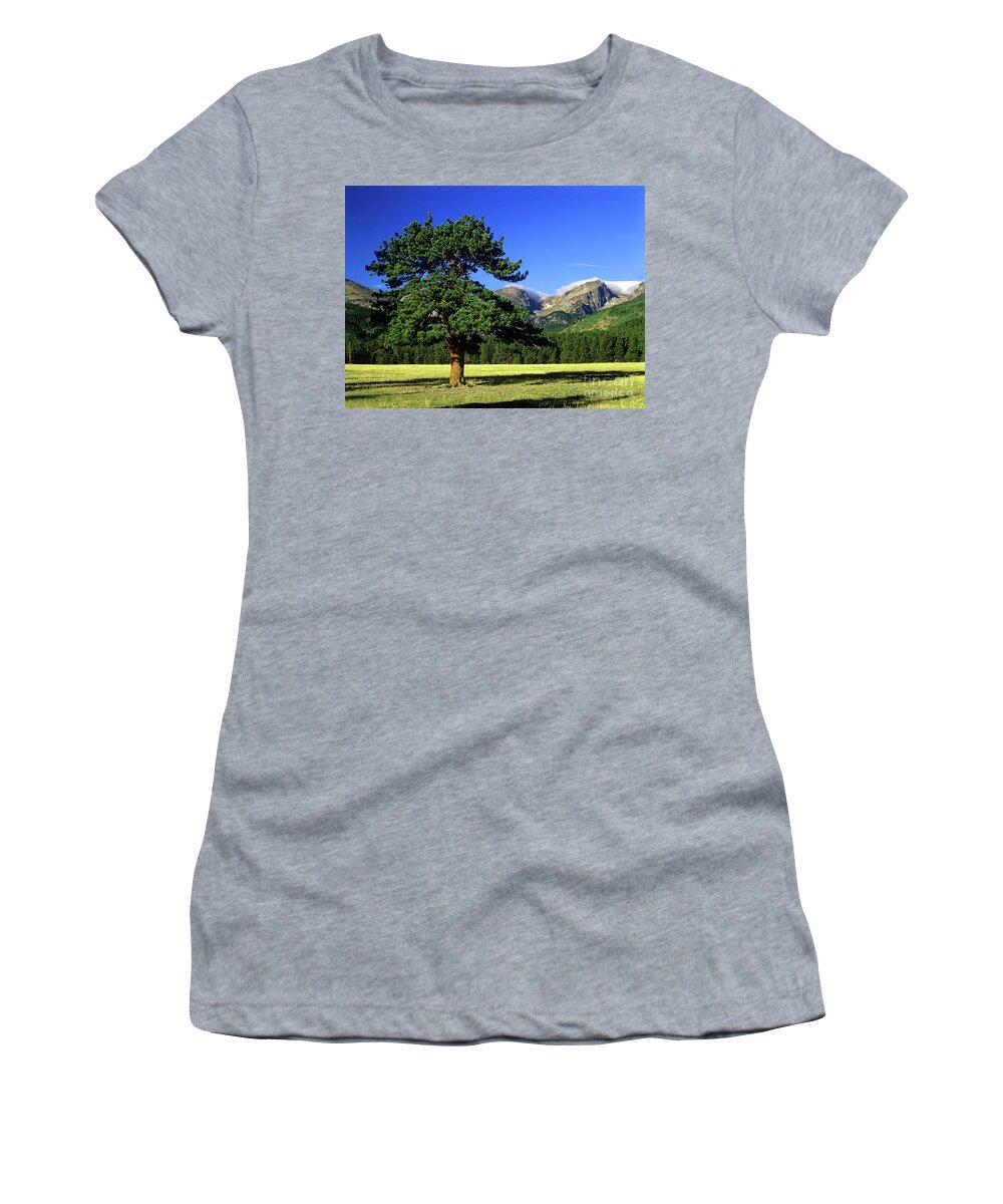 Rocky Mountain National Park Women's T-Shirt featuring the photograph Pine tree, Rocky Mountain National Park, Colorado by Kevin Shields