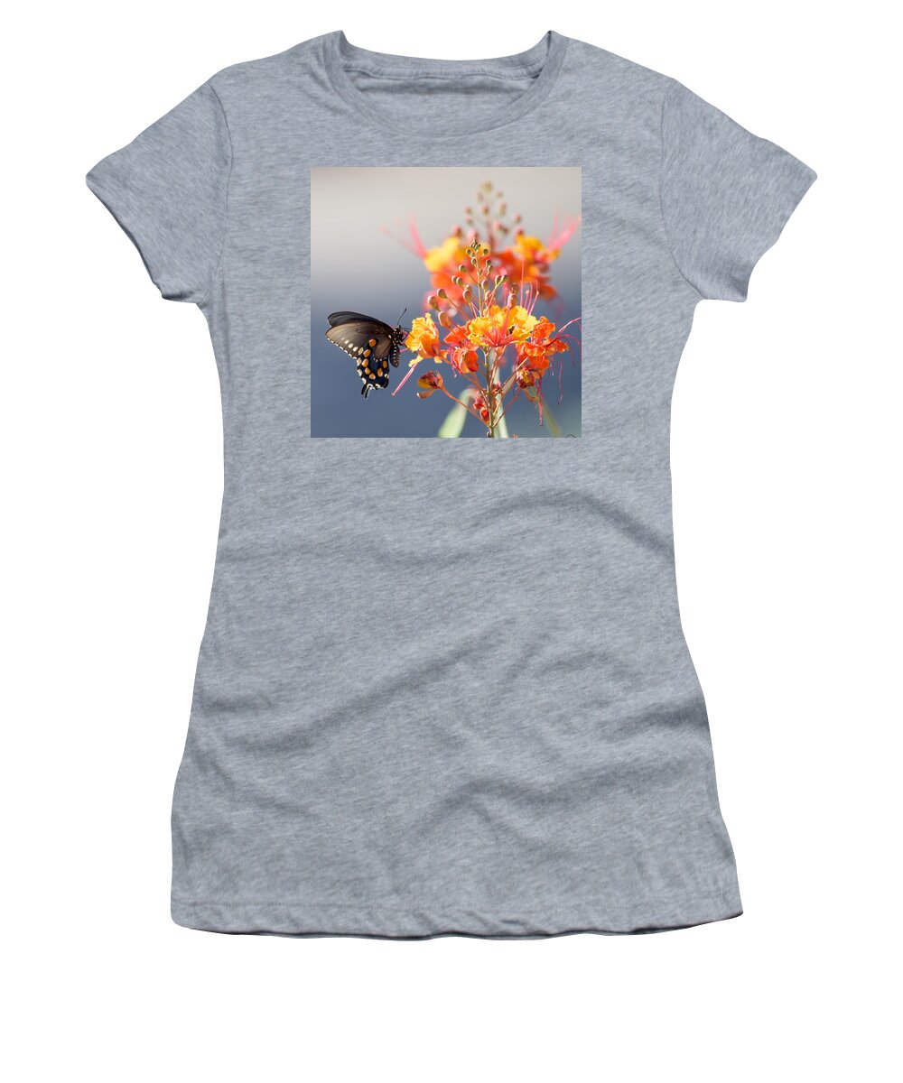 Tucson Women's T-Shirt featuring the photograph Pipevine Swallowtail by Dan McManus