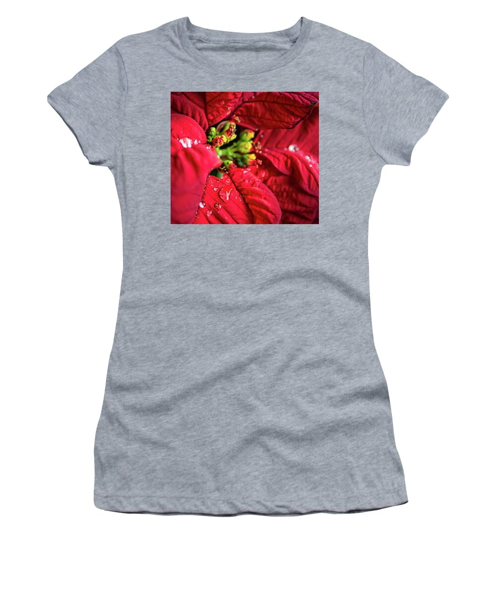 Poinsettia Women's T-Shirt featuring the photograph Poinsettia by David Hart