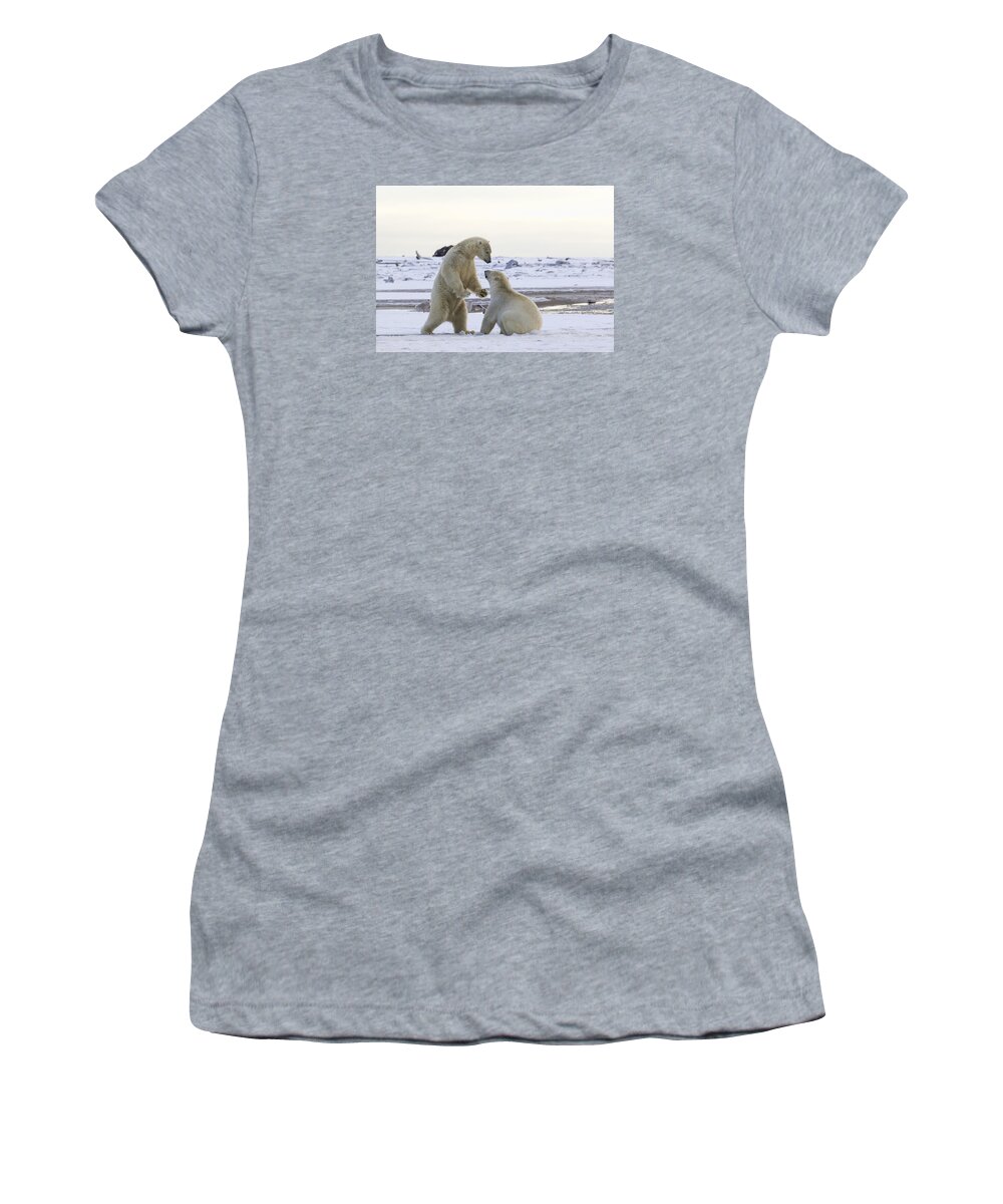 Animal Women's T-Shirt featuring the photograph Polar Bear Play-Fighting by Cheryl Strahl