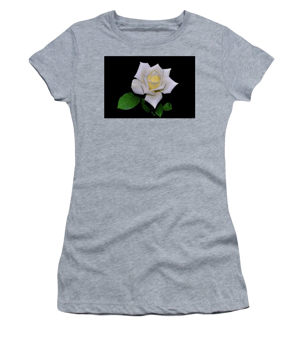 Rose Women's T-Shirt featuring the photograph Polar Star Rose 001 by George Bostian