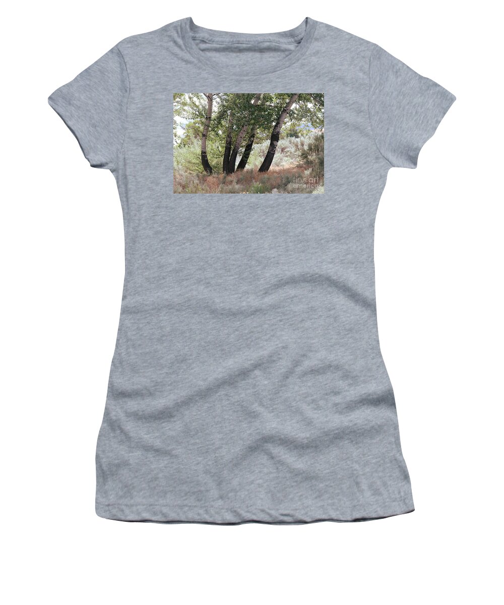 Trees Women's T-Shirt featuring the photograph Poplar Trees and Sagebrush by Carol Groenen