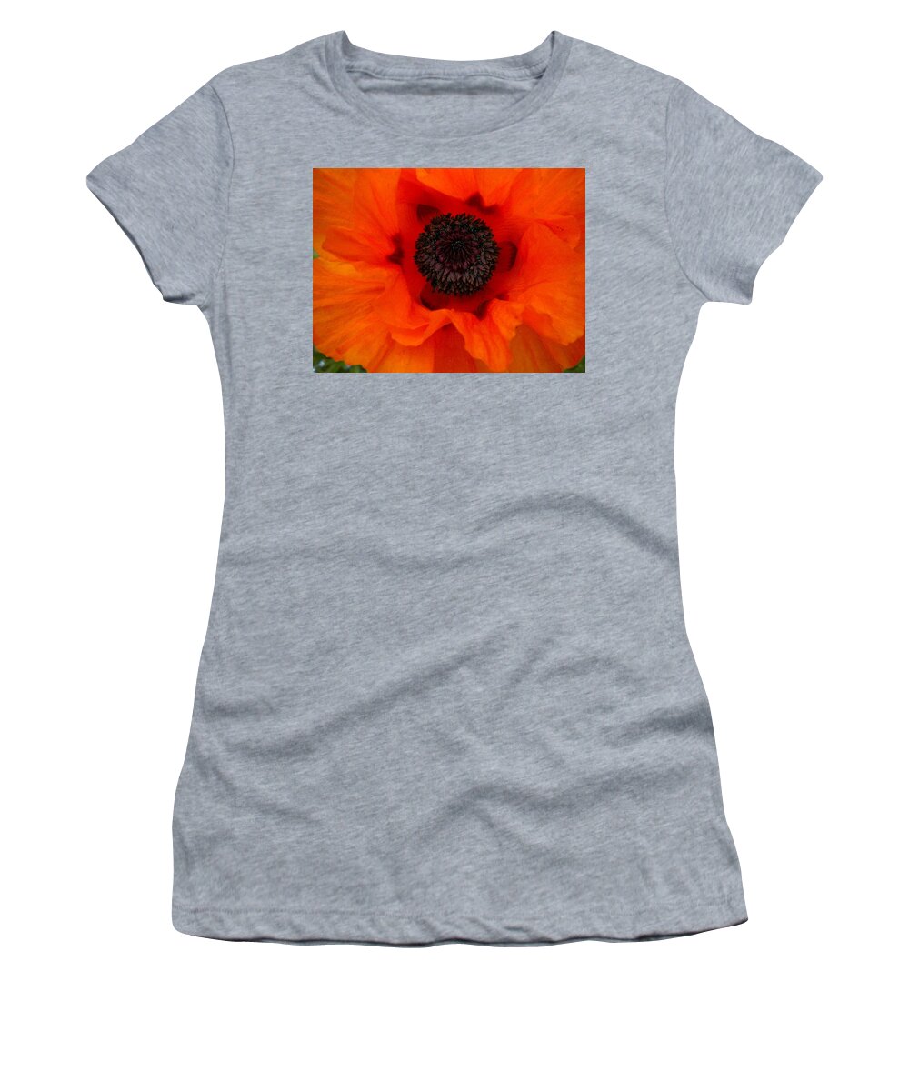 Orange Women's T-Shirt featuring the painting Poppy by Renate Wesley