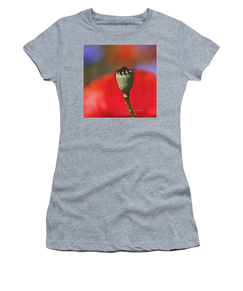 Nature Women's T-Shirt featuring the photograph Poppy Seed Capsule by Heiko Koehrer-Wagner
