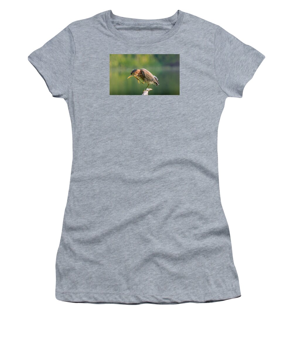 Heron Women's T-Shirt featuring the photograph Posing Heron by Jerry Cahill