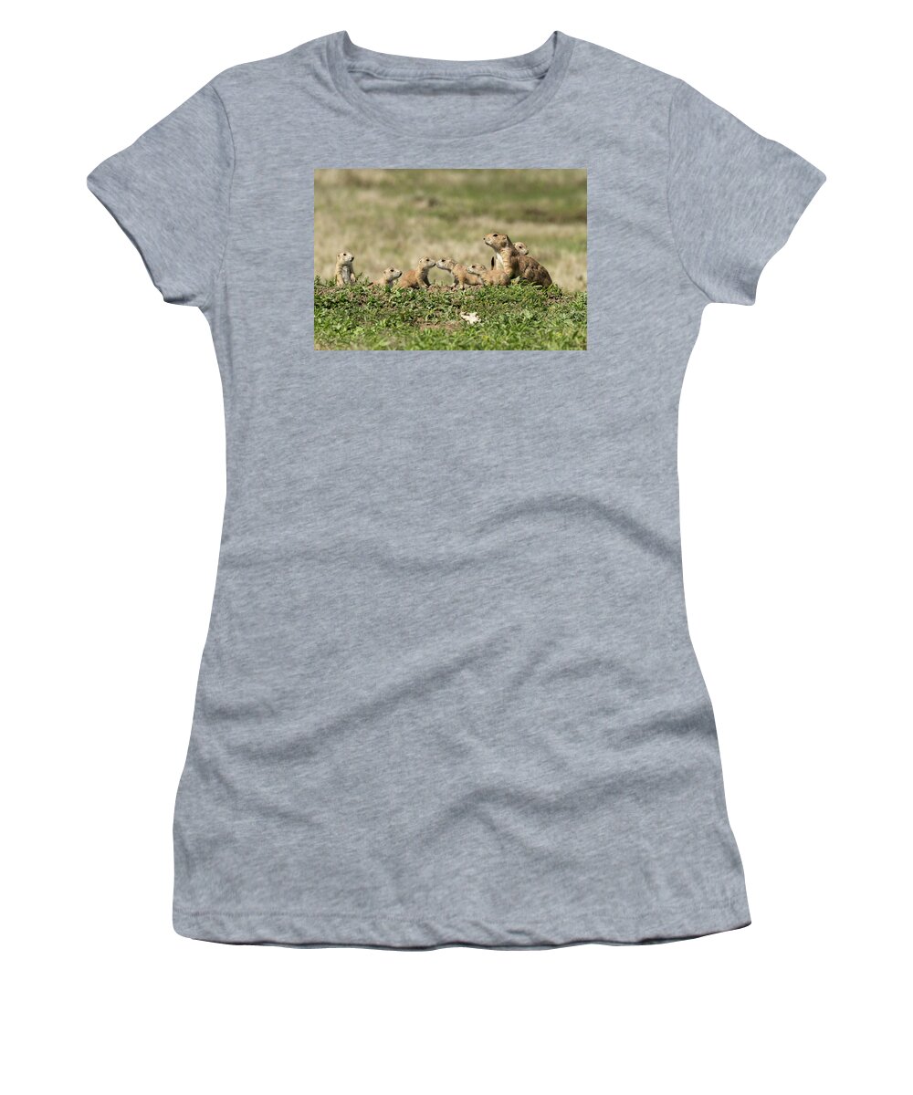 Nature Women's T-Shirt featuring the photograph Prairie Dog Family 7270 by Donald Brown