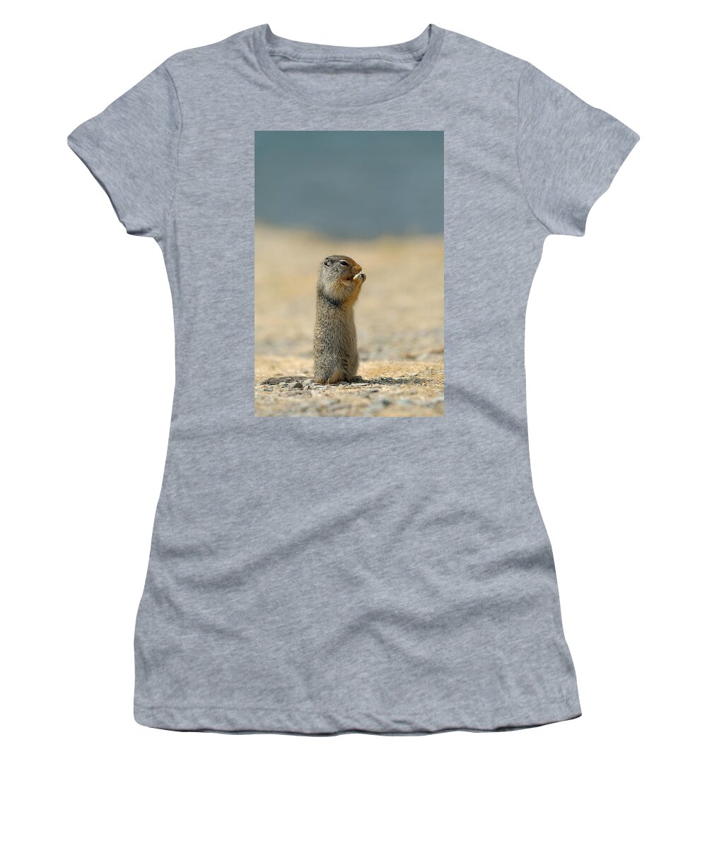 Prairie Dog Women's T-Shirt featuring the photograph Prairie Dog by Sebastian Musial