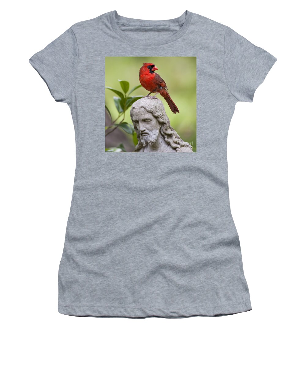 Cardinal Women's T-Shirt featuring the photograph Praise the Lord by Bonnie Barry