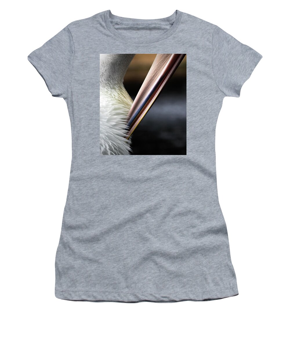 Pelican Women's T-Shirt featuring the photograph Preen by Diana Andersen