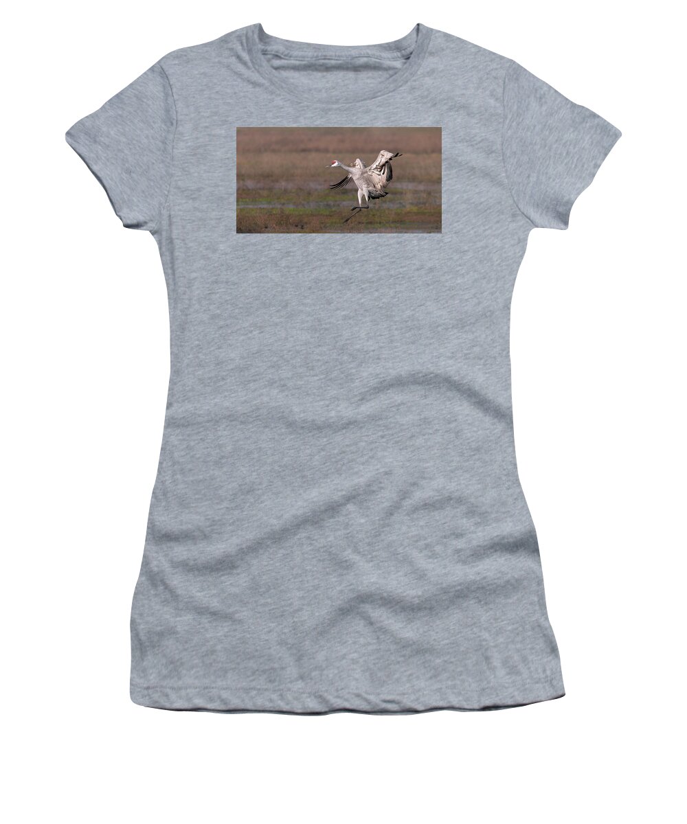 Cranes Women's T-Shirt featuring the photograph Preparing to Land by Floyd Hopper