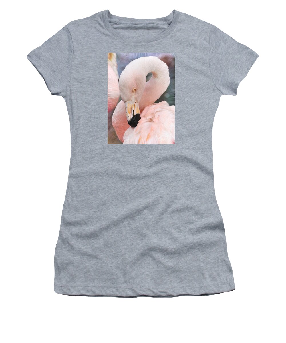 Flamingo Women's T-Shirt featuring the photograph Pretty In Pink by Kathy Baccari