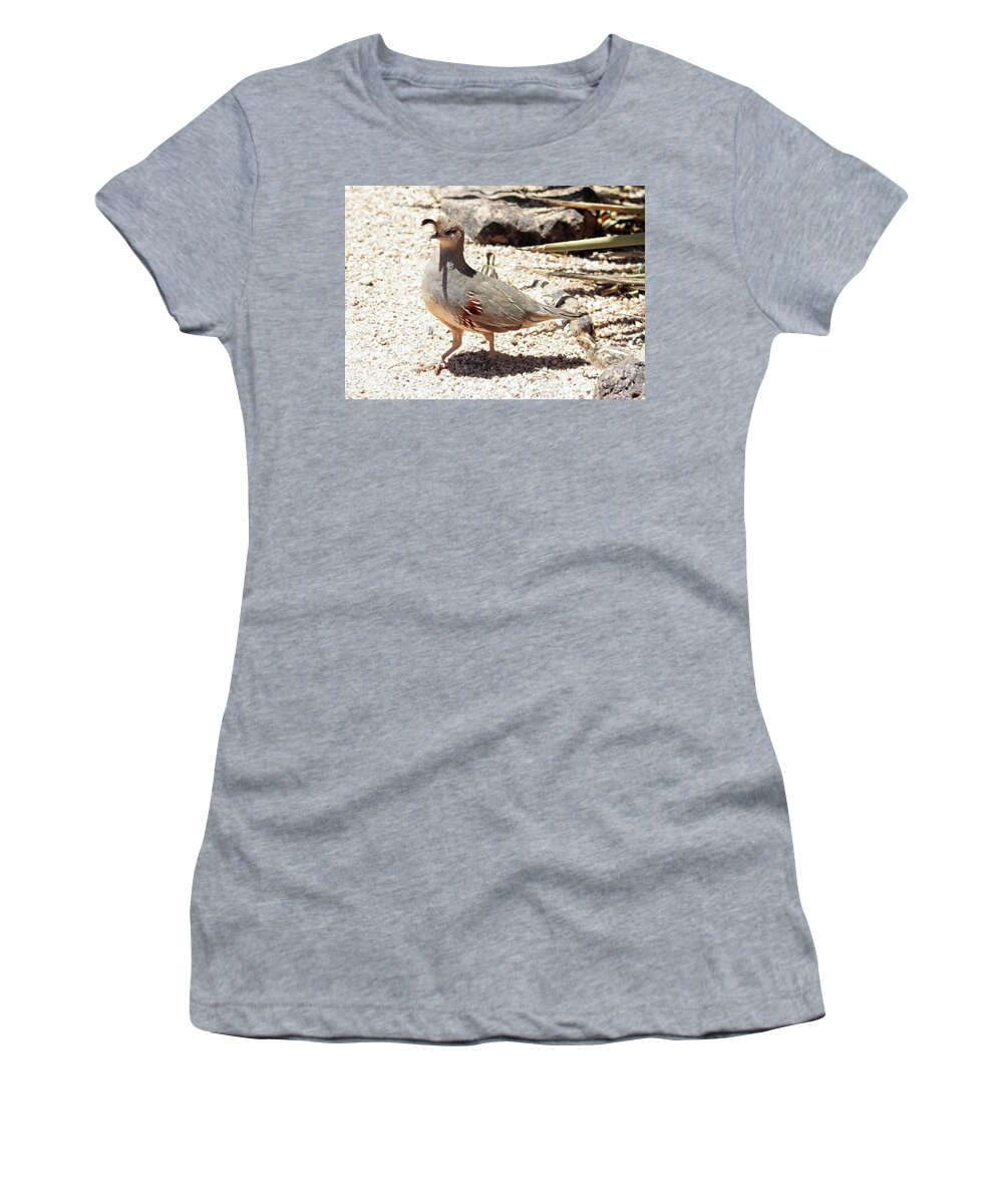 Arizona Women's T-Shirt featuring the photograph Pretty Mama Quail in the Desert by Carol Groenen